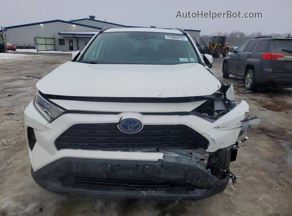 2T3RWRFV7KW046176 2019 TOYOTA RAV4 White Front view