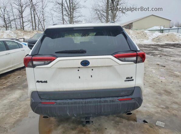 2T3RWRFV7KW046176 2019 TOYOTA RAV4 White Rear view