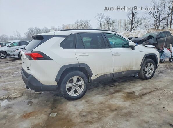 2T3RWRFV7KW046176 2019 TOYOTA RAV4 White Rear right