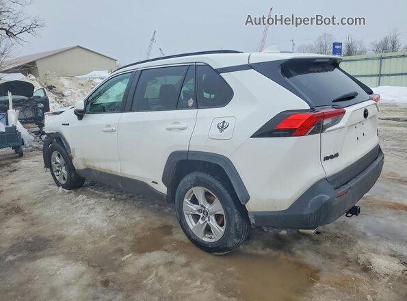 2T3RWRFV7KW046176 2019 TOYOTA RAV4 White Rear left