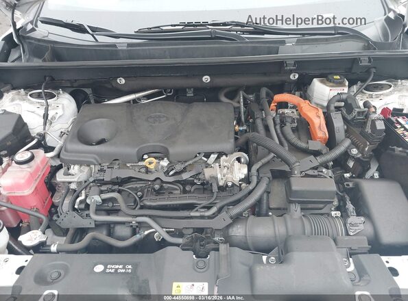 2T3UWRFV4RW191776 2024 TOYOTA RAV4 HYBRID Белый Вид сзади