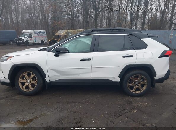 2T3UWRFV4RW191776 2024 TOYOTA RAV4 HYBRID Белый Панорамный вид салона 360°