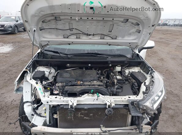 2T3W1RFV8KW013043 2019 TOYOTA LE White Widok z tyłu