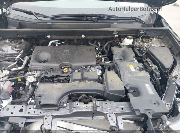 2T3W1RFV8RW326619 2024 TOYOTA LE Gray Widok z tyłu