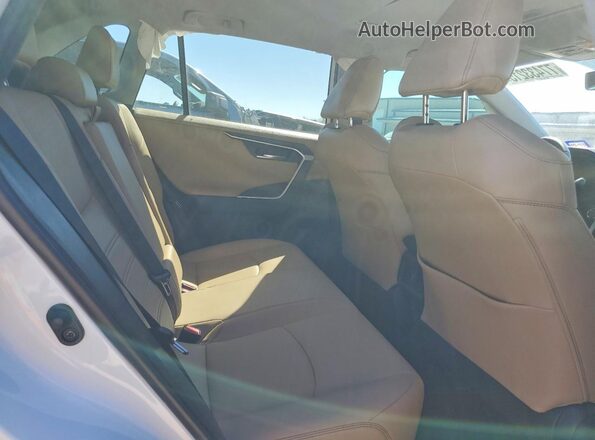 2T3Y1RFV3LC035804 2020 TOYOTA LIMITED Белый Вид задней части салона