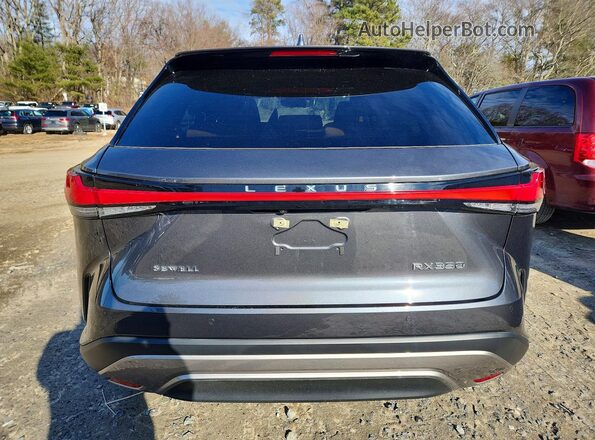 2T2BAMBA1SC056150 2025 LEXUS RX Серый Вид салона спереди