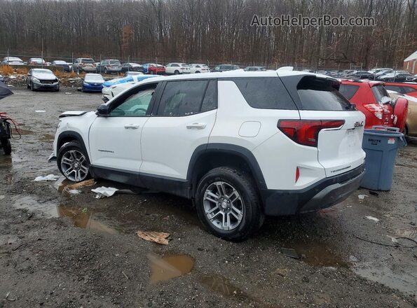 3GKALUEG7SL282043 2025 GMC TERRAIN White Trasero derecho