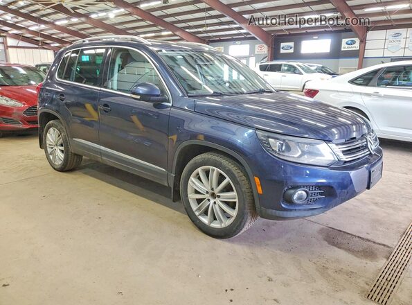 WVGBV7AX3GW609228 2016 VOLKSWAGEN TIGUAN Blue 