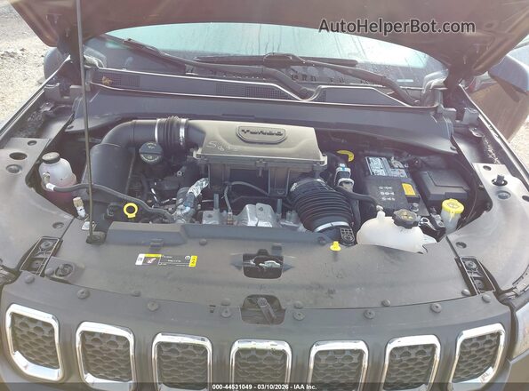 3C4NJDFN2RT594023 2024 JEEP COMPASS Серый Вид сзади