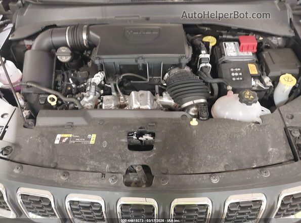 3C4NJDFN6RT168965 2024 JEEP COMPASS Gray Widok z tyłu
