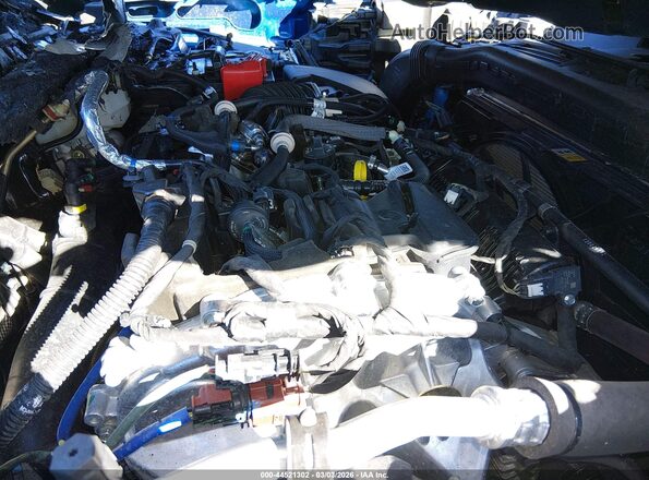 3FMCR9B60RRF41454 2024 FORD BRONCO SPORT Blue Widok z tyłu