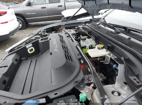 3FMTK1R45SMA08853 2025 FORD MUSTANG MACH-E Gray უკანა ხედი
