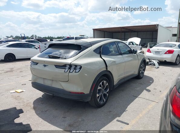 3FMTK1R48SMA16056 2025 FORD MUSTANG MACH-E Cream Tył prawy