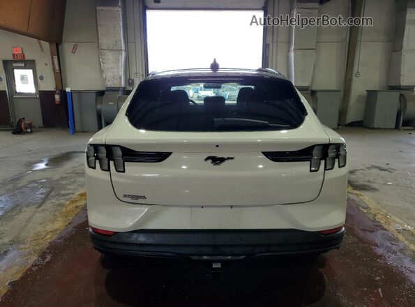 3FMTK1SS9MMA40684 2021 FORD MUSTANG White Вид ззаду
