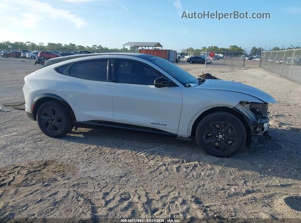 3FMTK2R78MMA57127 2021 FORD MUSTANG MACH-E Gray Вид задньої частини салону