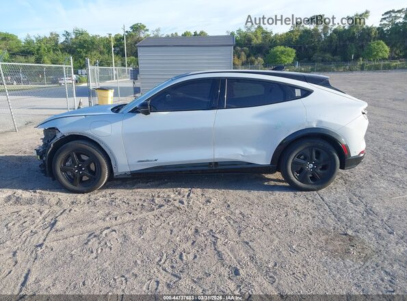 3FMTK2R78MMA57127 2021 FORD MUSTANG MACH-E Gray Панорамний вид салону 360°