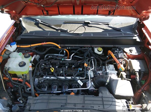 3FTTW8M31RRA77245 2024 FORD MAVERICK Красный Вид сзади