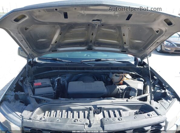 3GCPWBEH2MG186052 2021 CHEVROLET SILVERADO Gray უკანა ხედი