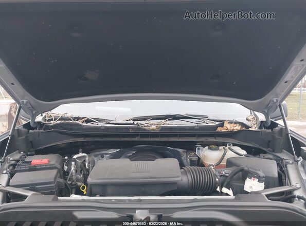 3GCUDCED6RG308107 2024 CHEVROLET SILVERADO Gray Widok z tyłu