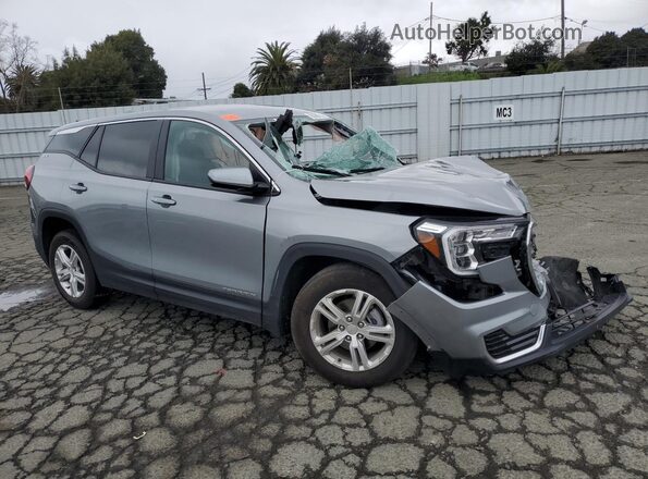 3GKALMEG3RL345424 2024 GMC TERRAIN Silver 