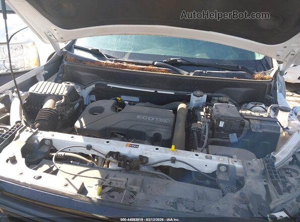 3GKALMEV6ML343593 2021 GMC TERRAIN White Widok z tyłu