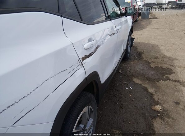 3GKALPEV9ML300397 2021 GMC TERRAIN White 