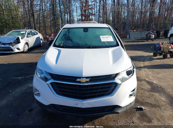 3GNAXHEV9LS643115 2020 CHEVROLET EQUINOX White Вид задньої частини салону