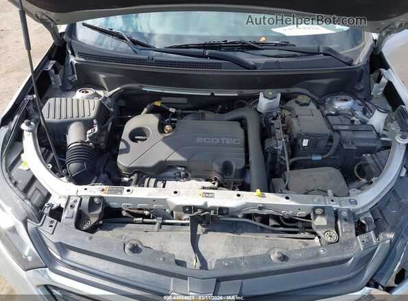 3GNAXUEV5MS162739 2021 CHEVROLET EQUINOX Silver Вид ззаду