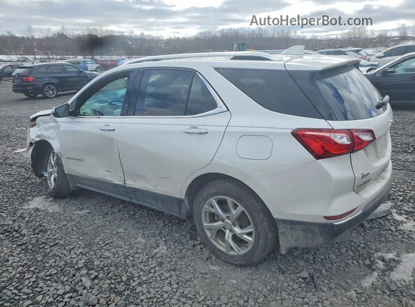 3GNAXXEV4MS142001 2021 CHEVROLET EQUINOX White Tył lewy