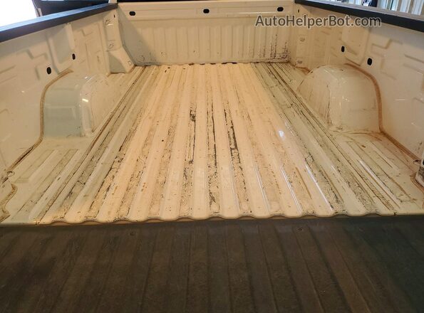 3GTN8AEF5LG216220 2020 GMC SIERRA White Widok tylnych siedzeń