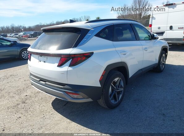 3KMJBCDE3SE010969 2025 HYUNDAI TUCSON White Tył prawy