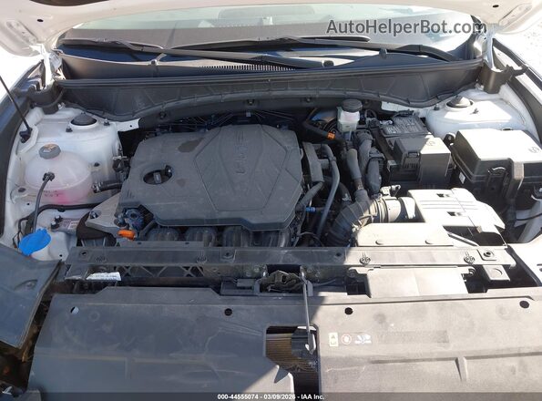 3KMJBCDE3SE010969 2025 HYUNDAI TUCSON White Widok z tyłu