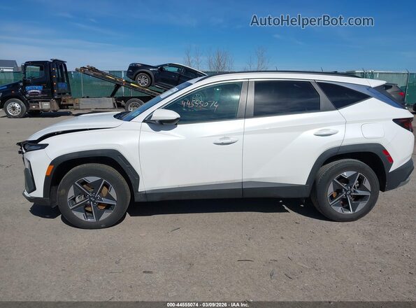 3KMJBCDE3SE010969 2025 HYUNDAI TUCSON White 