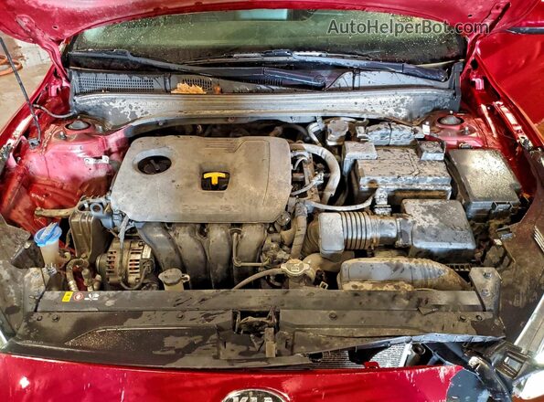 3KPF34AD0KE048392 2019 KIA FORTE Red 