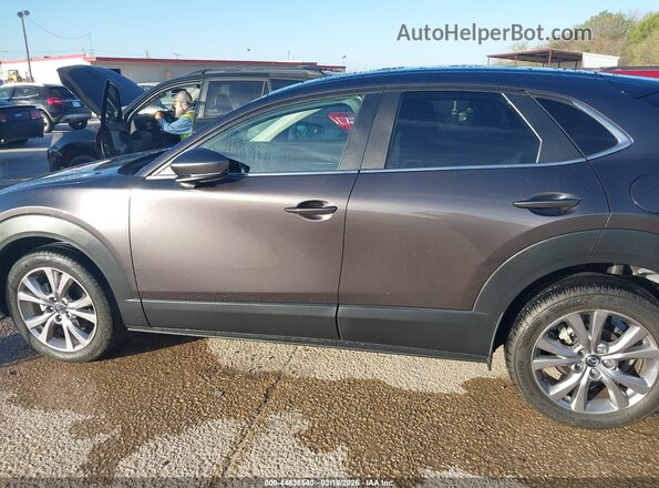 3MVDMACL5MM252653 2021 MAZDA CX-30 Gray სალონის 360-გრადუსიანი ხედი