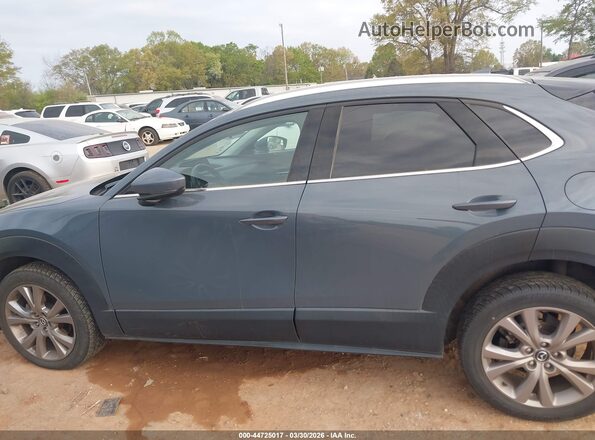 3MVDMADL0MM319190 2021 MAZDA CX-30 Синий Панорамный вид салона 360°