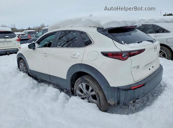 3MVDMBCL2MM208485 2021 MAZDA CX-30 White Հետևի ձախ