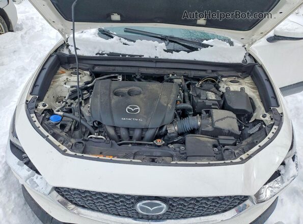 3MVDMBCL2MM208485 2021 MAZDA CX-30 White Շարժիչի բաժամունքի տեսք