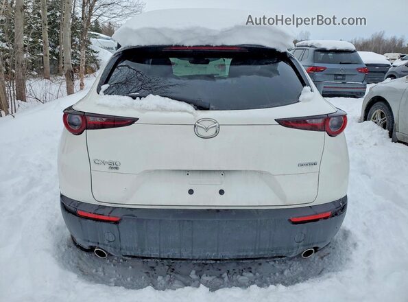 3MVDMBCL2MM208485 2021 MAZDA CX-30 White Հետևի տեսք