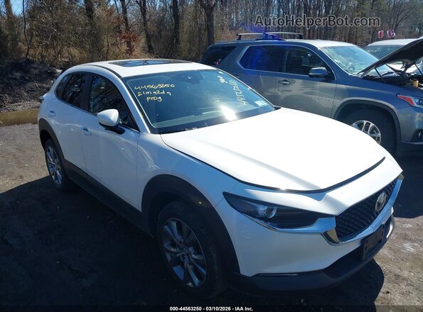 3MVDMBCL3MM256450 2021 MAZDA CX-30 White Սալոնի հետևի տեսք