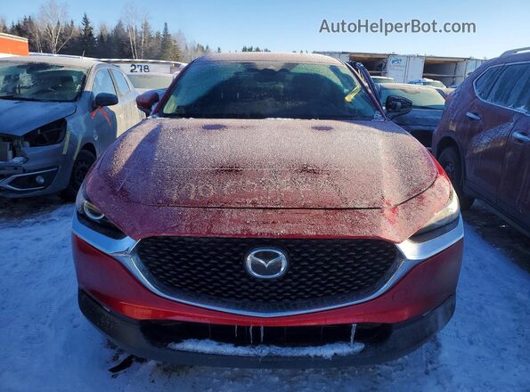 3MVDMBCM7PM544386 2023 MAZDA CX-30 Burgundy Вид спереду
