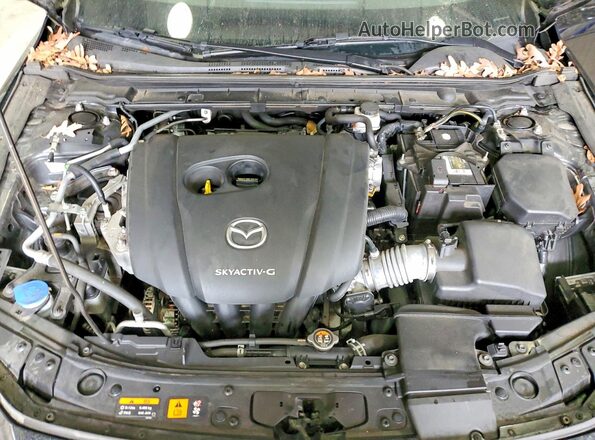 3MZBPAEM0KM111795 2019 MAZDA 3 Black 