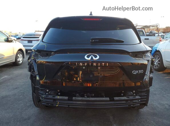 3PCAJ5BA0NF109975 2022 INFINITI QX50 Черный Вид сзади