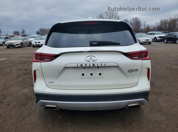 3PCAJ5BB3NF119182 2022 INFINITI QX50 White Հետևի տեսք
