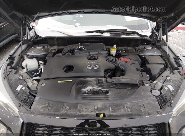 3PCAJ5FB4SF102039 2025 INFINITI QX50 Gray Вид ззаду