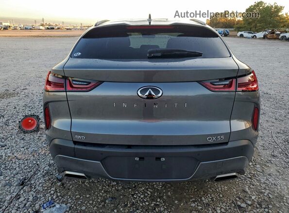 3PCAJ5JR7RF106102 2024 INFINITI QX55 Gray უკანა ხედი