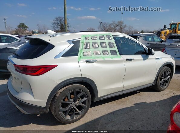 3PCAJ5M1XKF103304 2019 INFINITI QX50 White უკანა სალონის ხედი