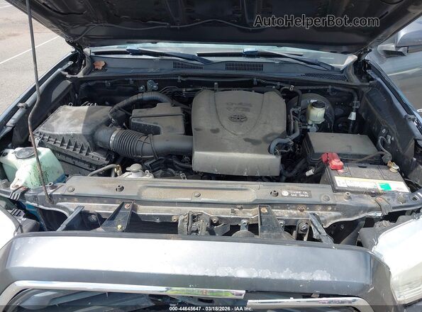 3TMBZ5DNXHM005975 2017 TOYOTA TACOMA Gray Вид ззаду