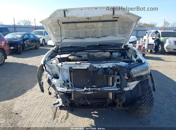 3TMCZ5AN4PM580063 2023 TOYOTA TACOMA White Вид ззаду