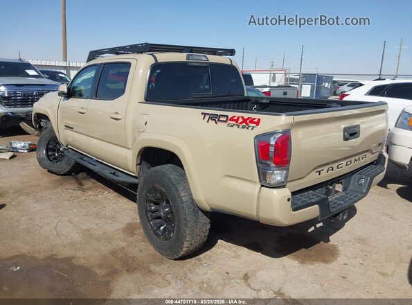 3TMCZ5AN8LM323059 2020 TOYOTA TACOMA Beige უკანა მარცხენა